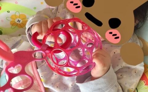 【0歳5ヶ月】一時帰国の日本で子供に買ってよかったおもちゃ
