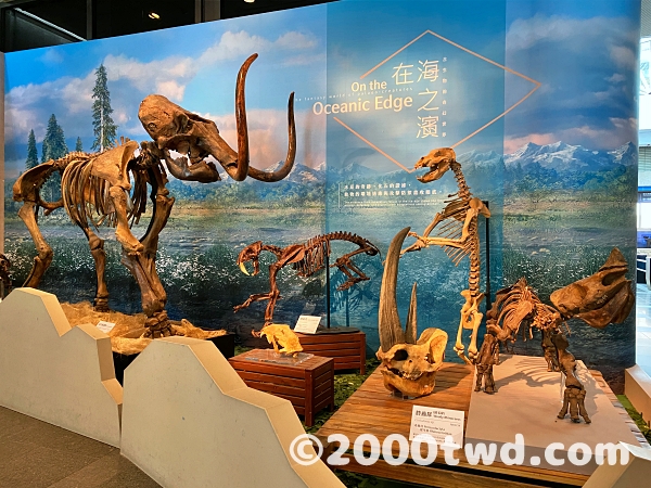 特別展の展示内容