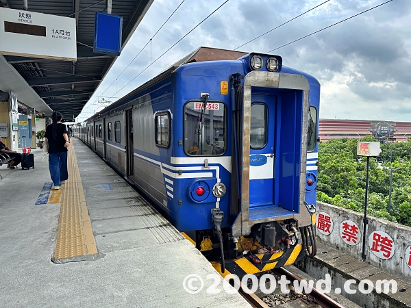 台鐵沙崙駅のプラットフォームと電車