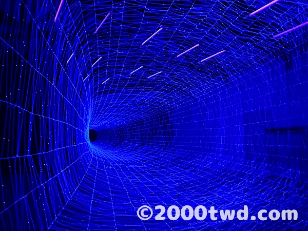 NA11｜《 生命之網 Web of Life 》