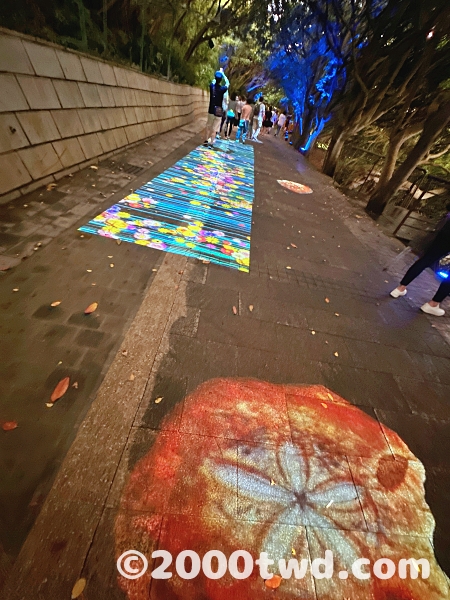 通路もプロジェクションマッピング