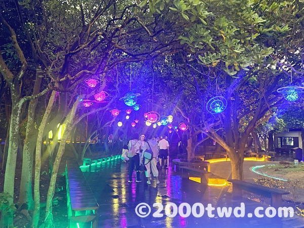 LEDで彩られる植樹のトンネル