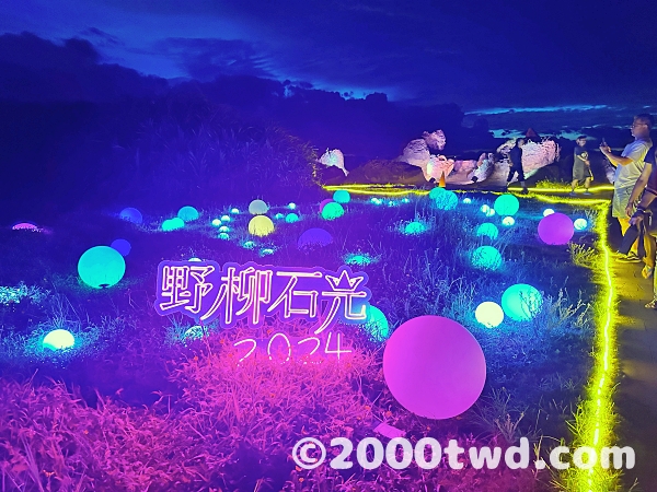 幻想的な公園内のイルミネーション